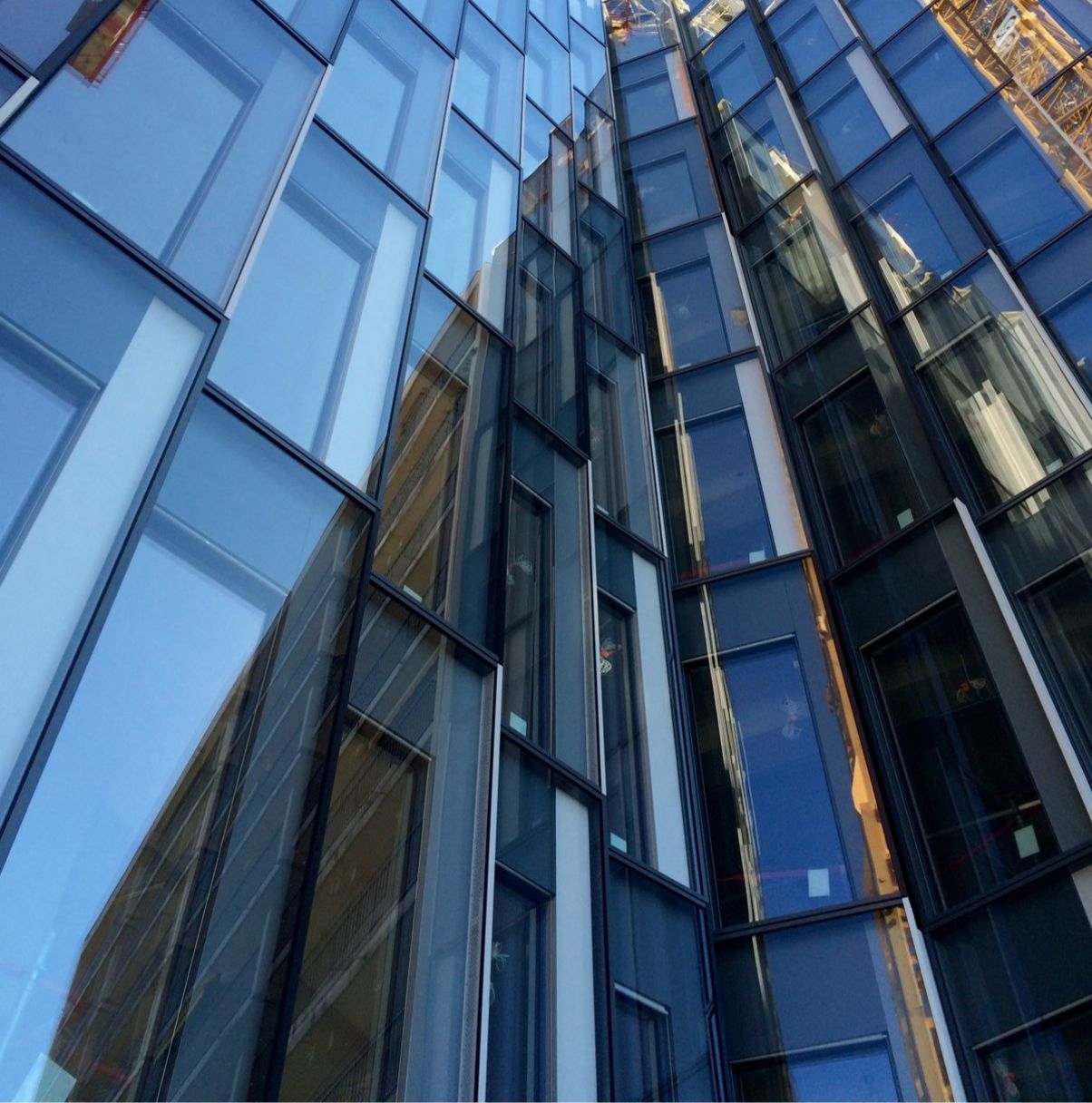 WhatsApp Image 2025-10-23 at 10.24.23 PM